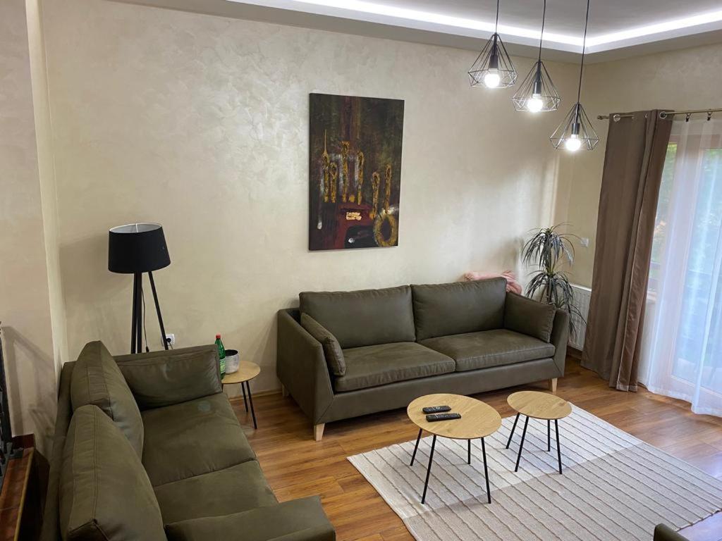 Apartments Vila Knez Zlatibor Rum bild
