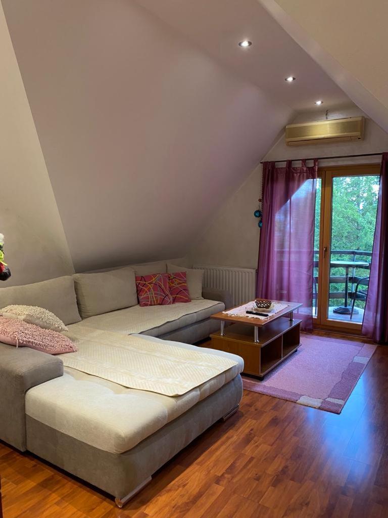 Apartments Vila Knez Zlatibor Rum bild